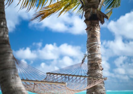 Galería de imágenes en miniatura